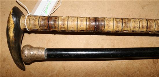 2 walking sticks